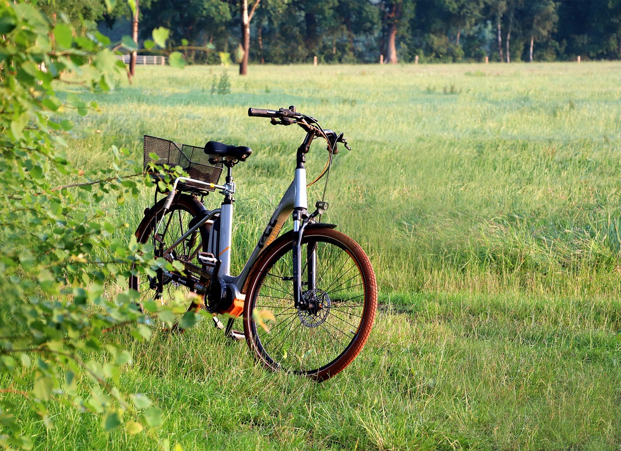 Un vélo électrique urbain avec panier et batterie posé dans l'herbe d'une prairie