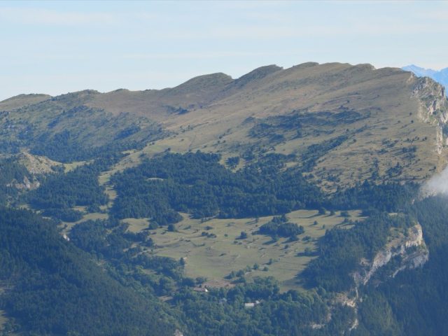Guide budget : réduire dépenses et prévenir les arnaques