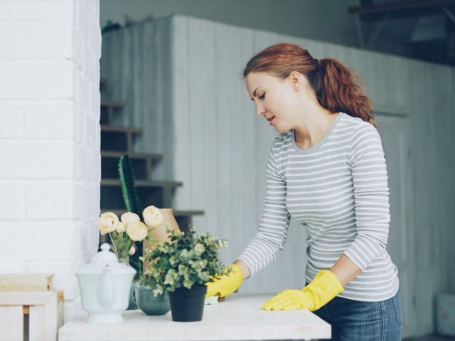 Astuces pour nettoyer la maison avec des produits écologiques