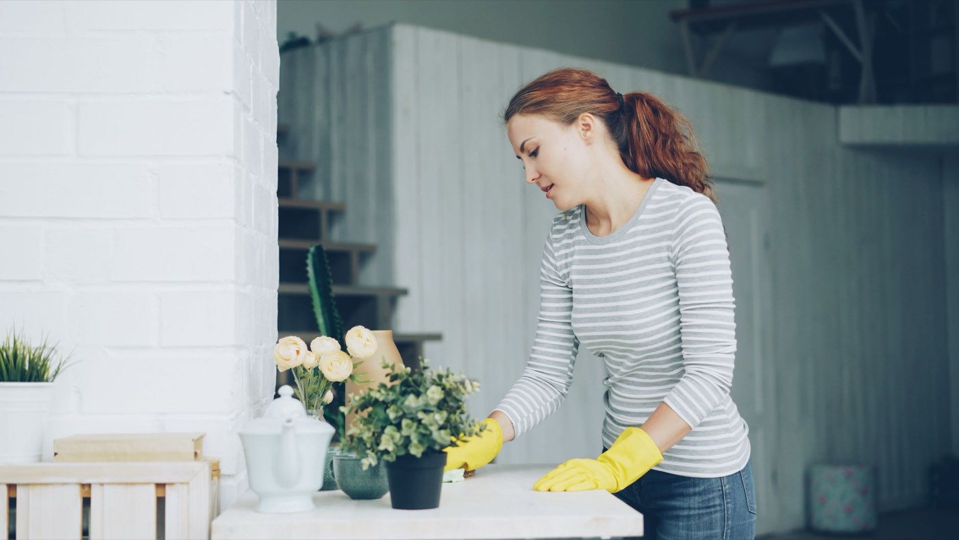Astuces pour nettoyer la maison avec des produits écologiques