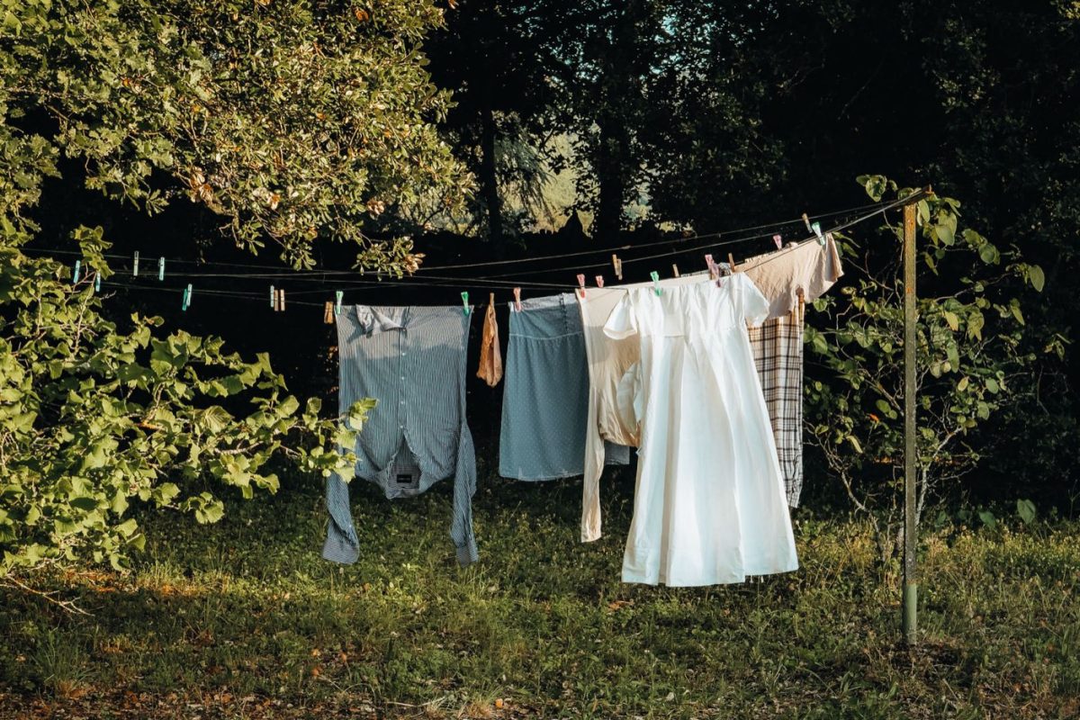 Quelle lessive écologique choisir : comparatif et critères