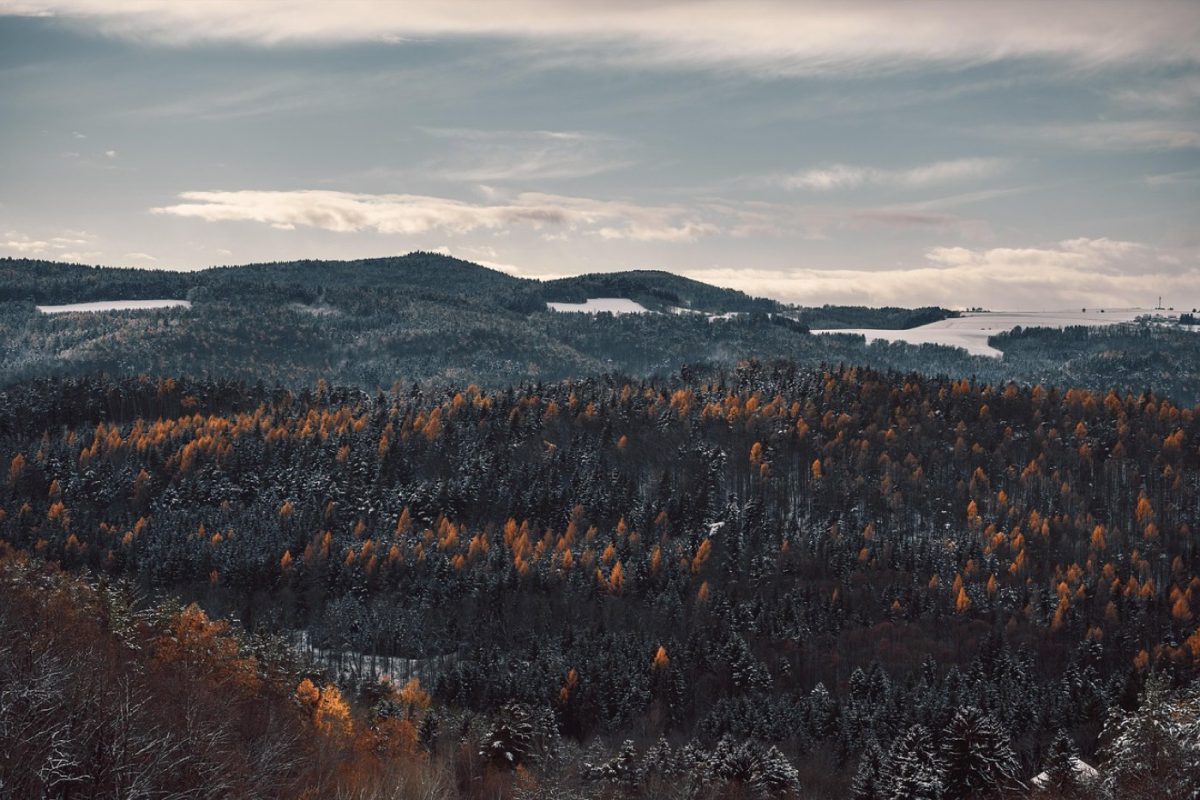 Température idéale du réfrigérateur : 0–4 °C