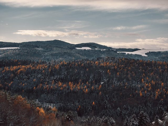 Température idéale du réfrigérateur : 0–4 °C