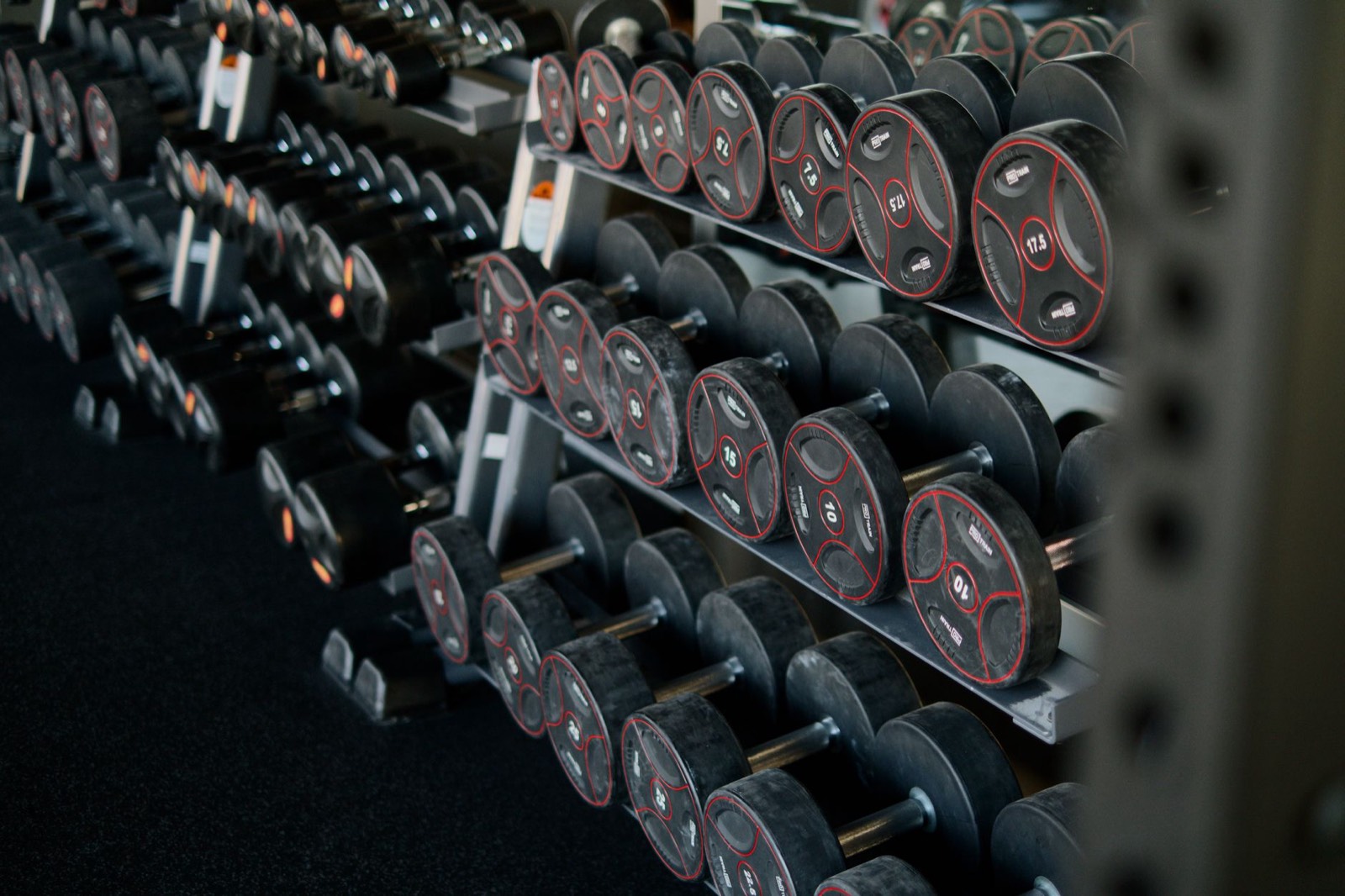 Rack de poids libres dans une salle de musculation